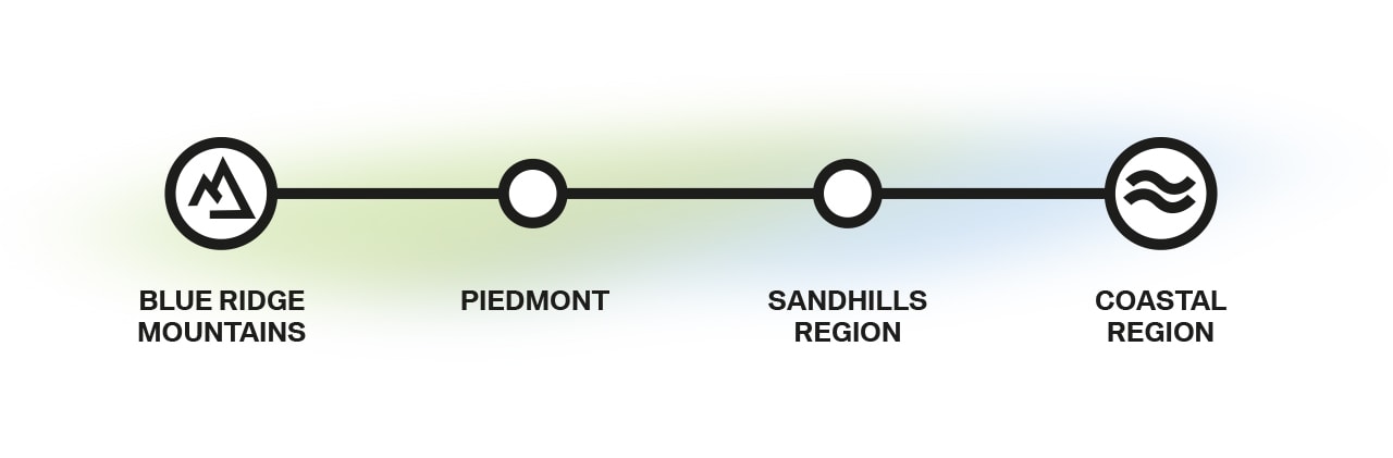 Roadmap South Carolina