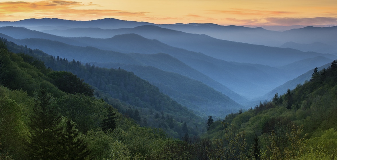 Enjoy stupendous views of the sun rising over the Blue Ridge Mountains.