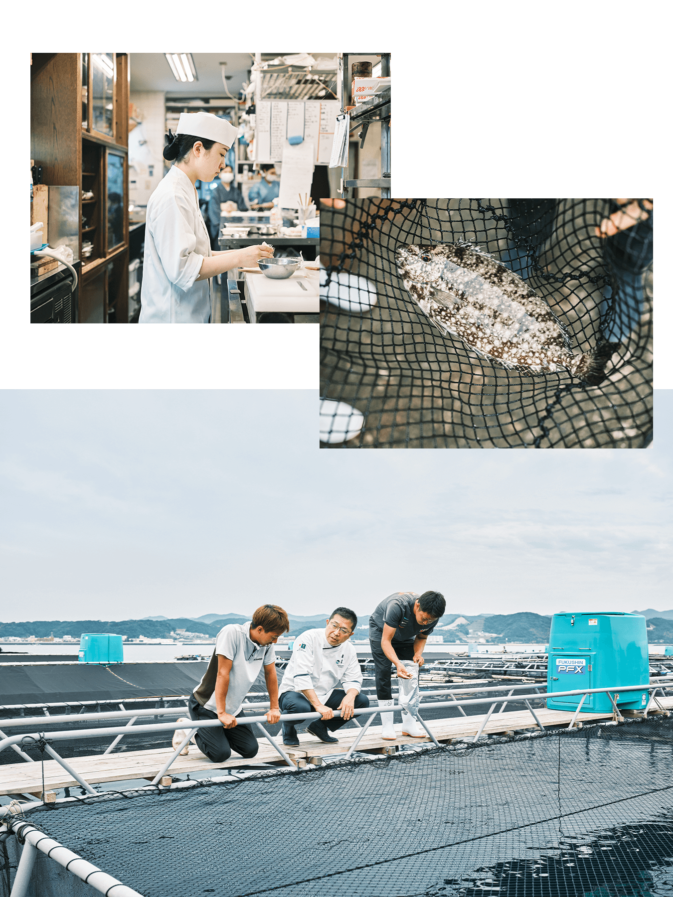 Chef Hideaki Matsuo, conscious travel, Japan